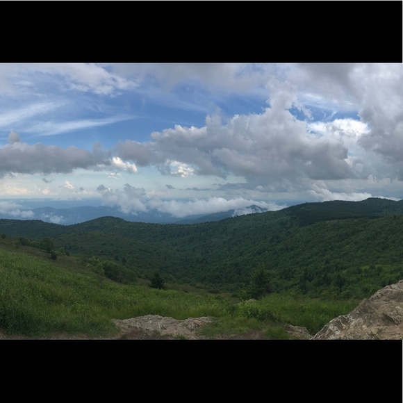 Meet your Posher, Hank - Picture 1 of 1